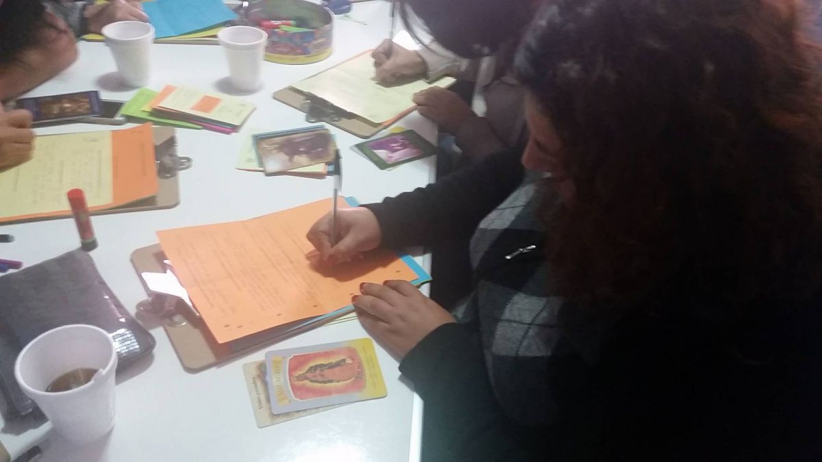 Imagen 11