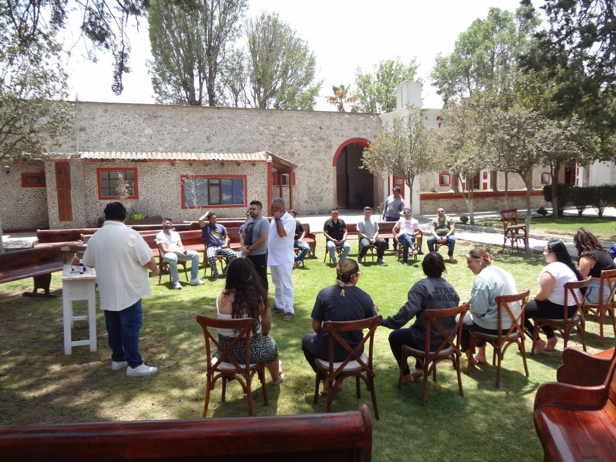 Imagen 26
